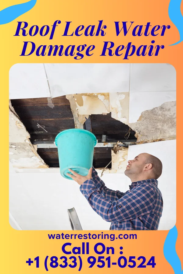 Roof Leak Water Damage Repair in Salem, GA